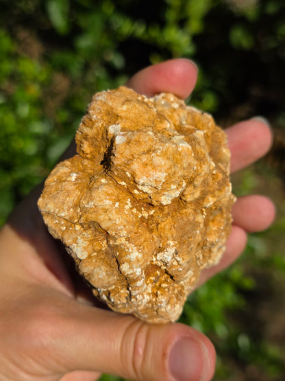 Calcédoine du Poitou n°11