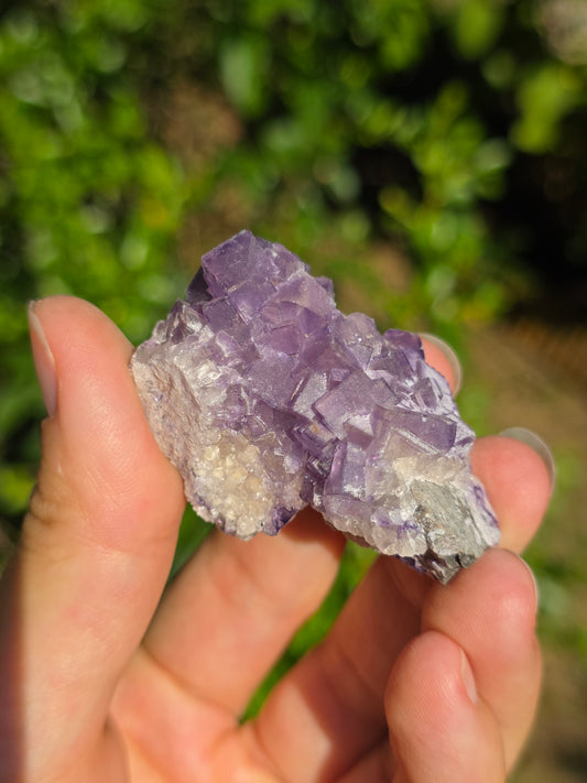 Fluorite des Pyrénées C