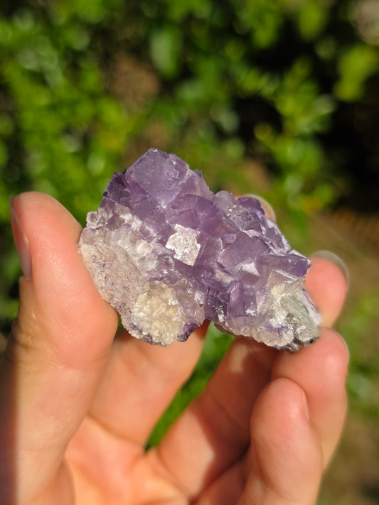 Fluorite des Pyrénées C