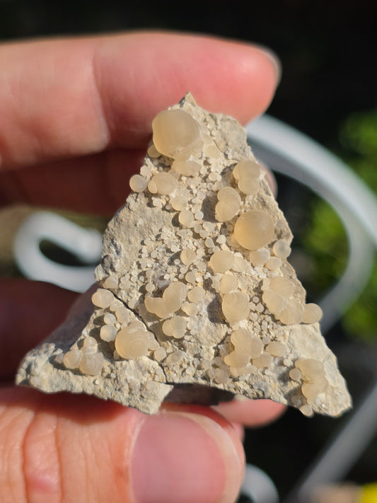 Calcédoine botryoïdale du Poitou n°18