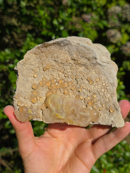 Calcédoine botryoïdale du Poitou n°19