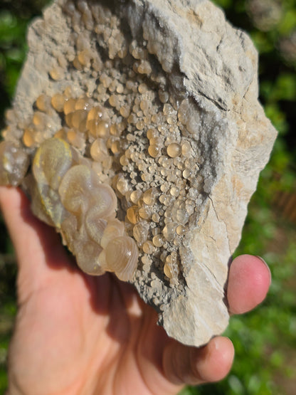 Calcédoine botryoïdale du Poitou n°19