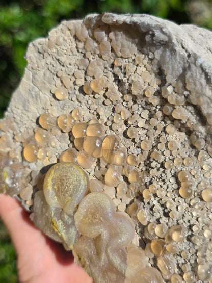 Calcédoine botryoïdale du Poitou n°19