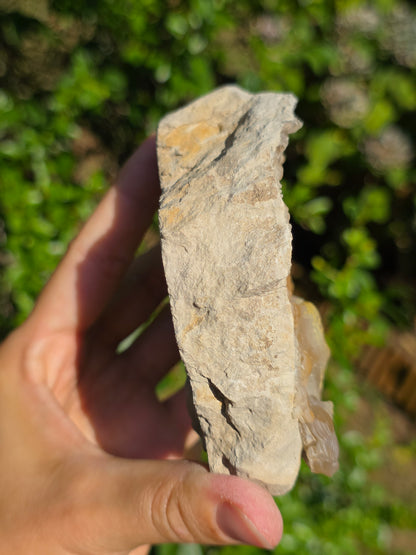 Calcédoine botryoïdale du Poitou n°19