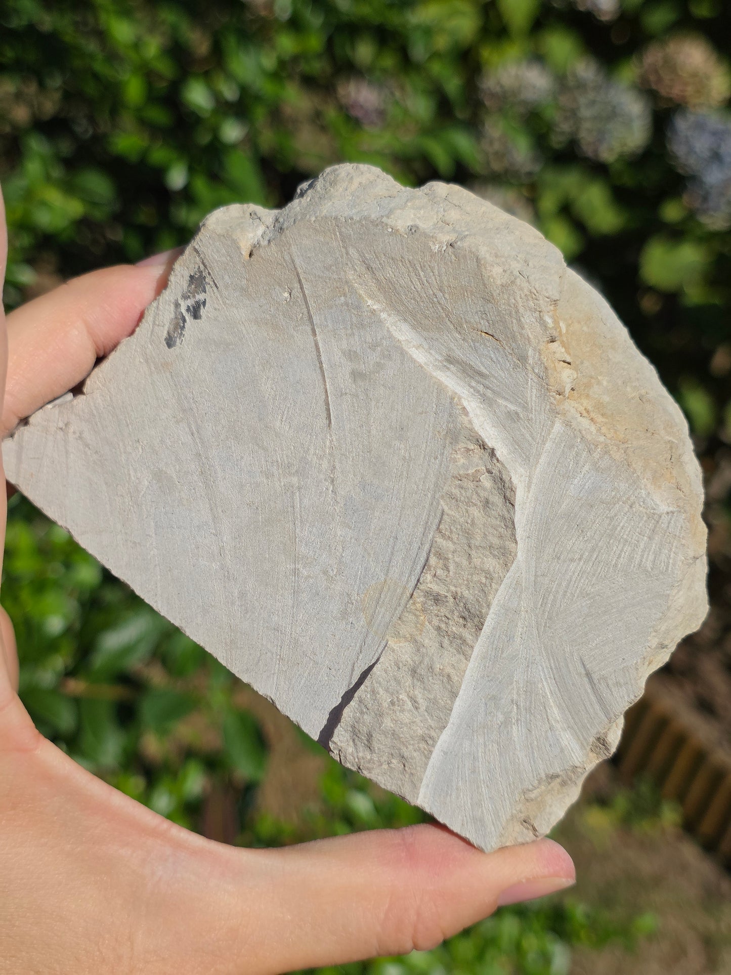 Calcédoine botryoïdale du Poitou n°19