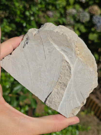 Calcédoine botryoïdale du Poitou n°19