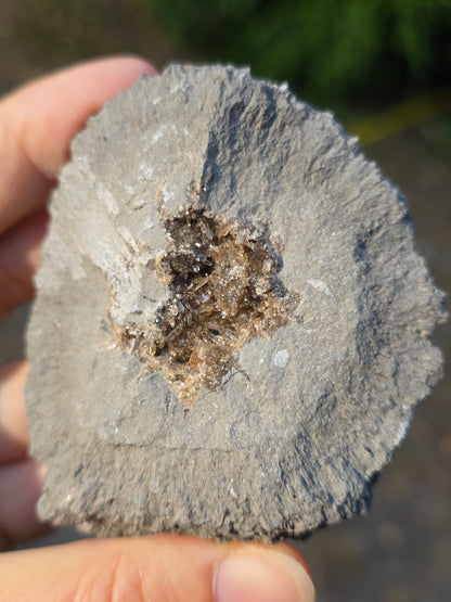 Septaria de la Drôme n°3