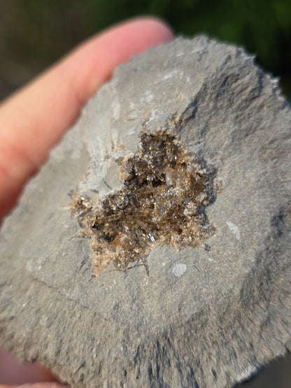 Septaria de la Drôme n°3