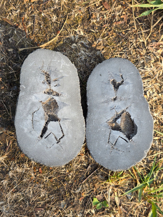 Septaria entière de la Drôme