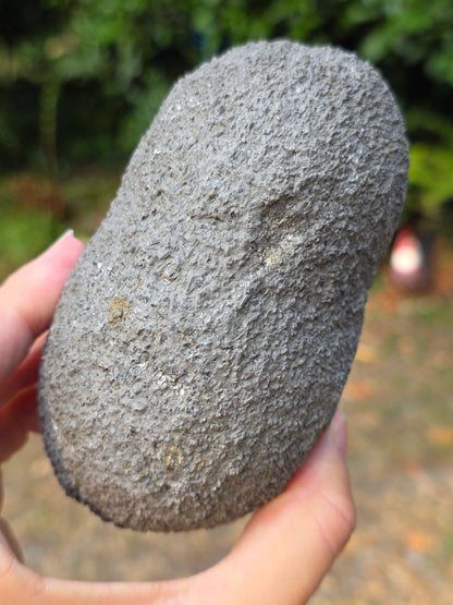 Septaria entière de la Drôme