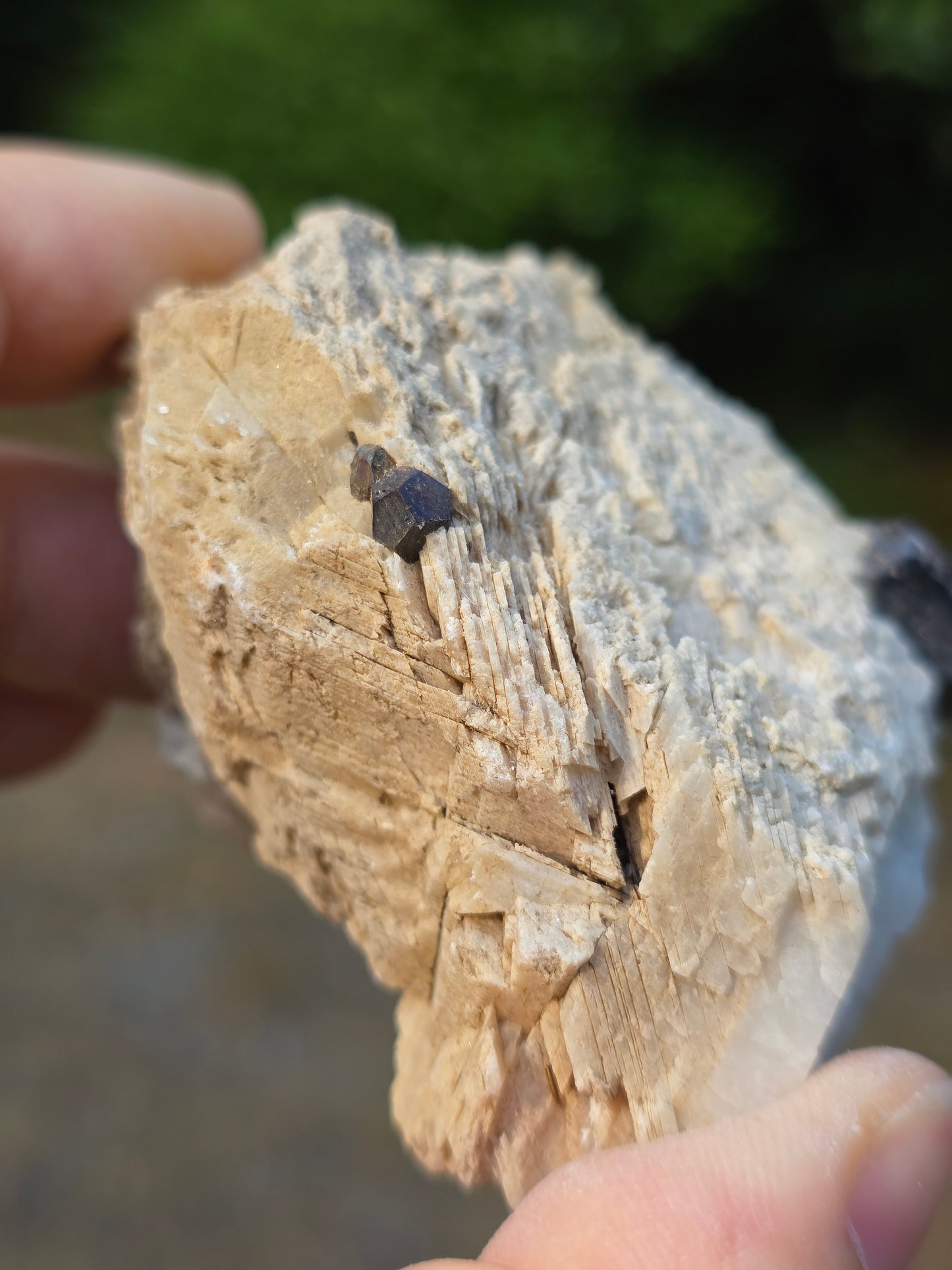 Pyrite du Pibeste (65) A