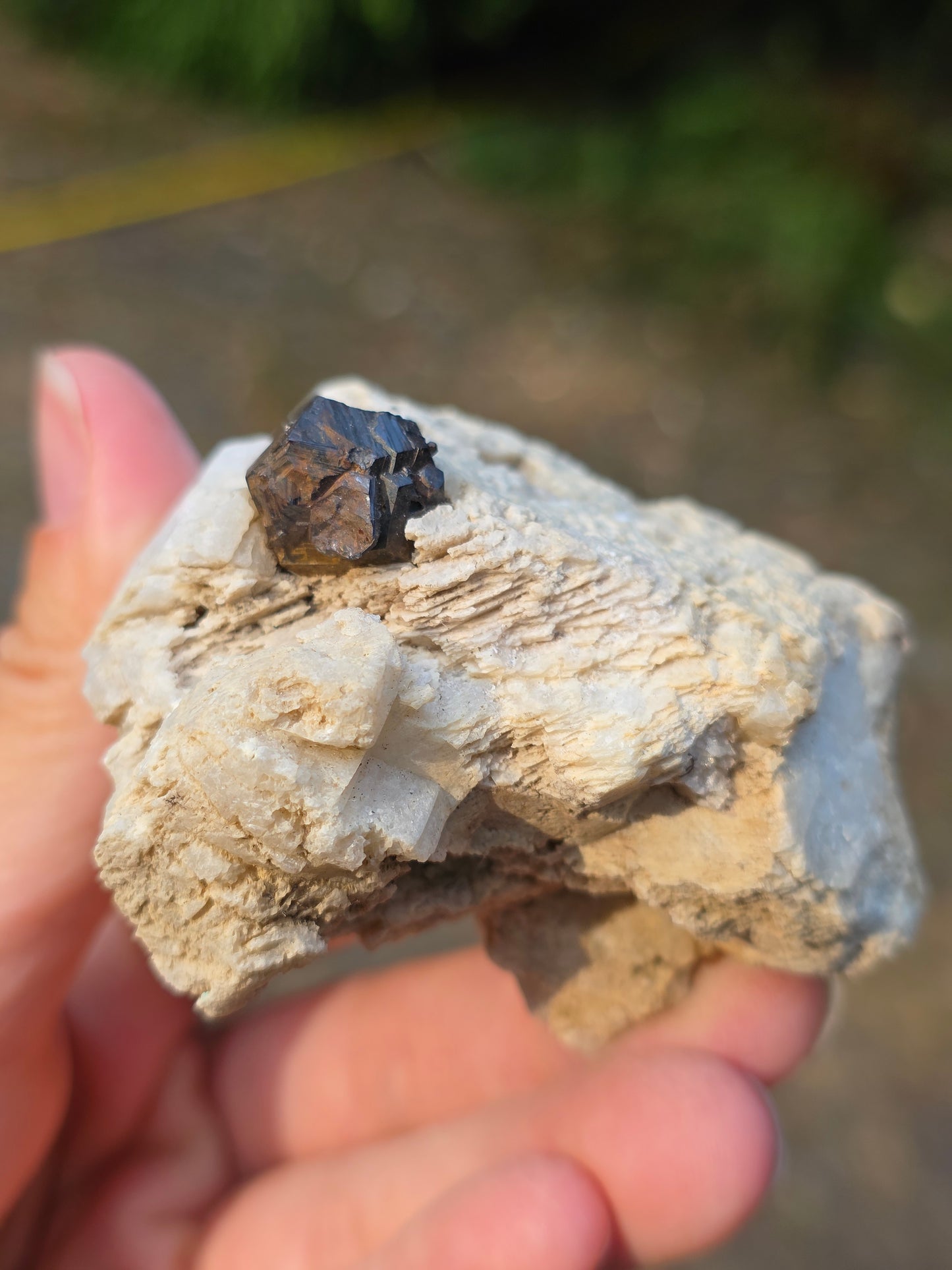 Pyrite du Pibeste (65) A