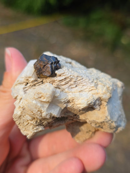 Pyrite du Pibeste (65) A