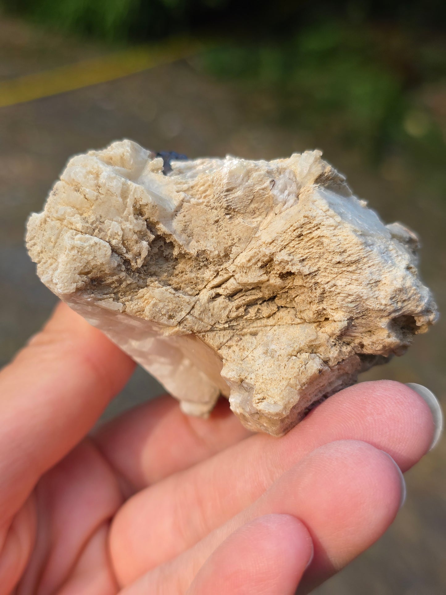 Pyrite du Pibeste (65) A