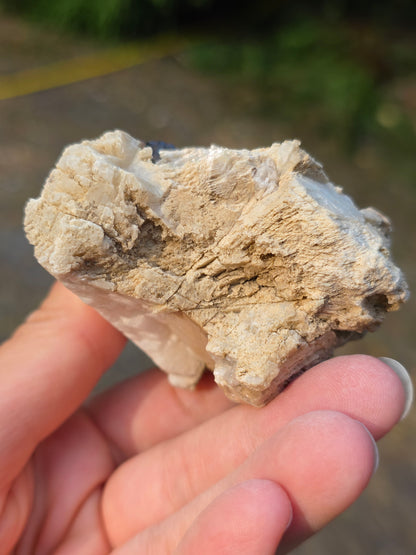 Pyrite du Pibeste (65) A