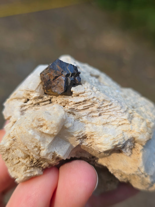 Pyrite du Pibeste (65) A