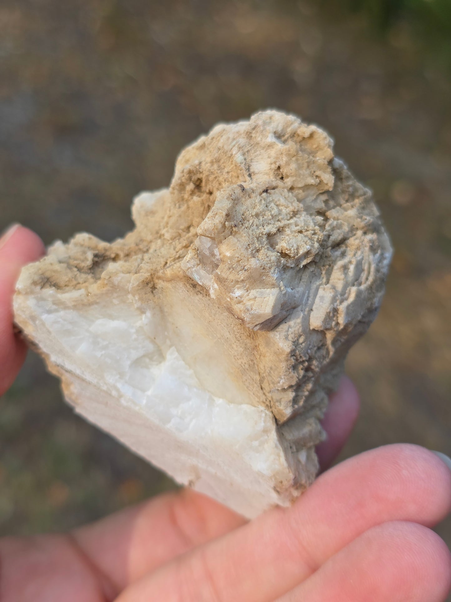 Pyrite du Pibeste (65) A