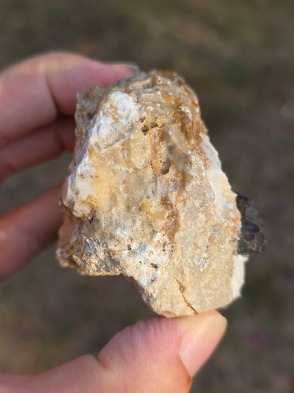 Pyrite du Pibeste (65) B