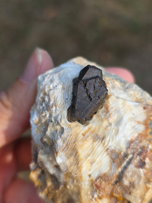 Pyrite du Pibeste Hautes Pyrénées France 169g