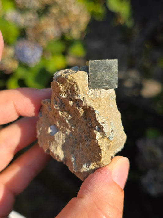 Pyrite de Navajun