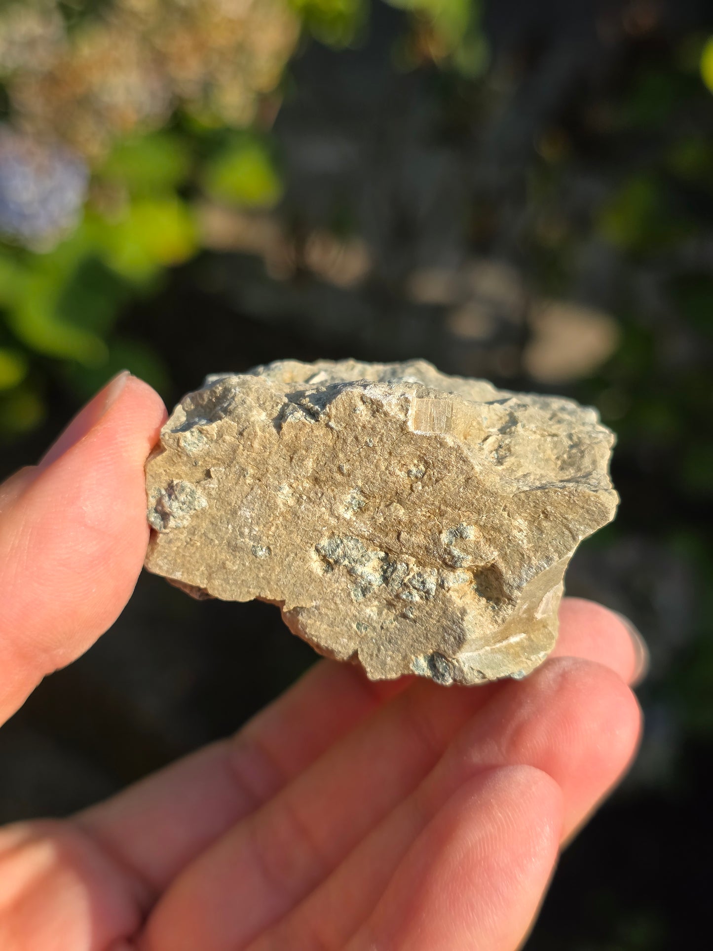 Pyrite de Navajun