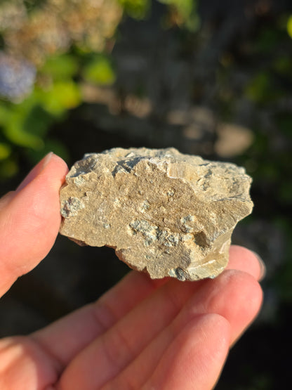 Pyrite de Navajun