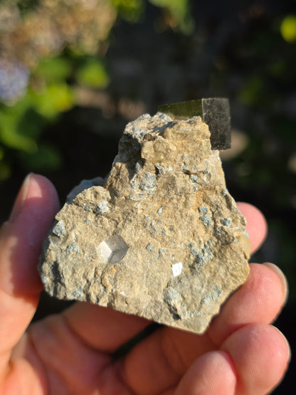 Pyrite de Navajun