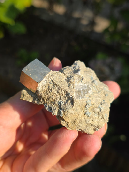 Pyrite de Navajun