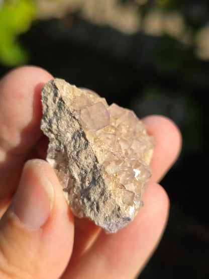 Fluorite des Pyrénées J