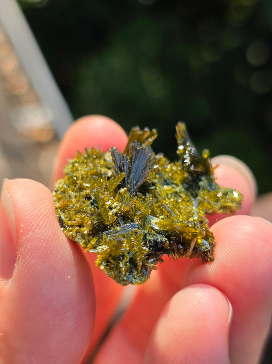 Epidote de Lérida n°5