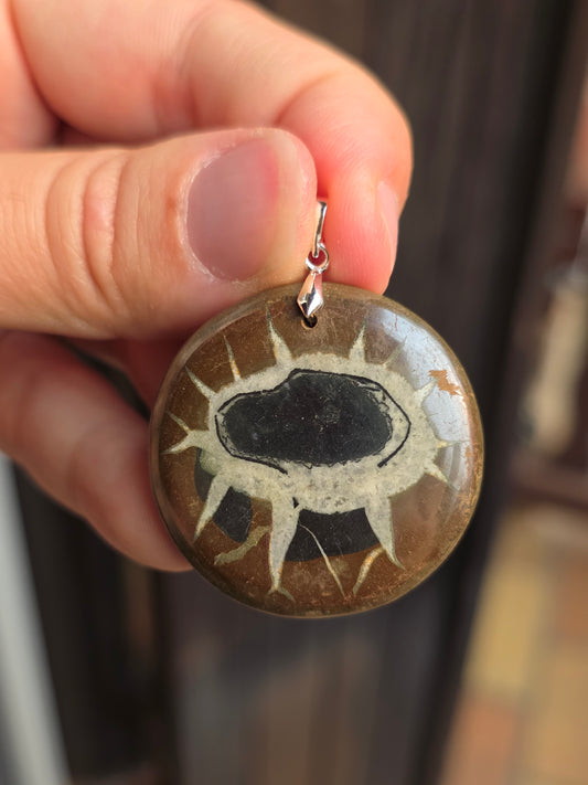 Pendentif Septaria sauvage n°9