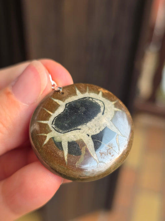 Pendentif Septaria sauvage n°9