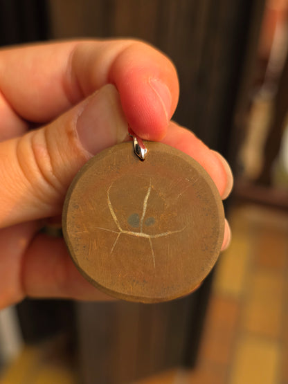 Pendentif Septaria sauvage n°9