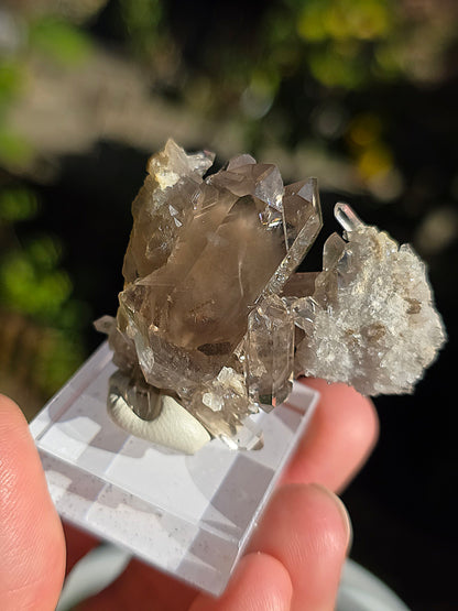 Quartz fumé des Pyrénées n°20