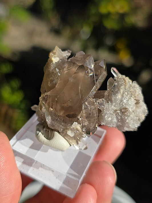 Quartz fumé des Pyrénées n°20
