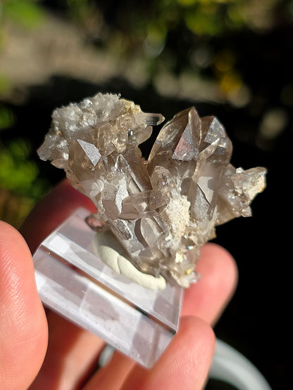 Quartz fumé des Pyrénées n°20