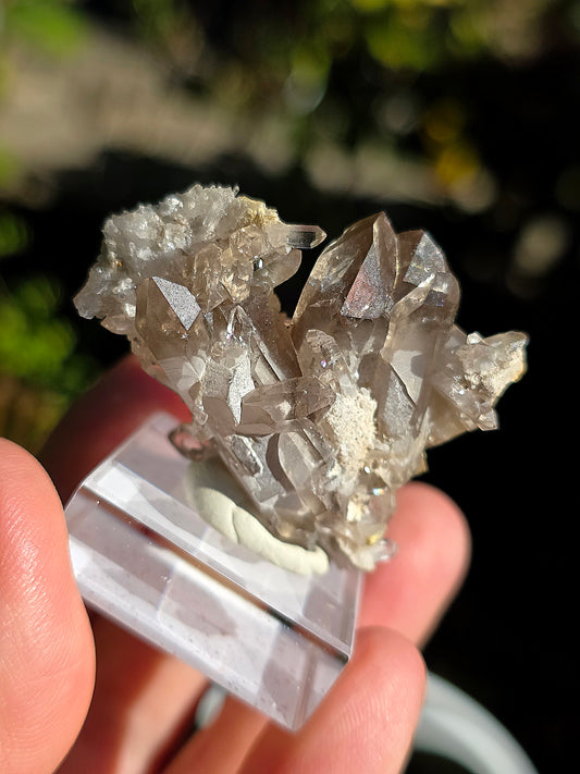 Quartz fumé des Pyrénées n°20