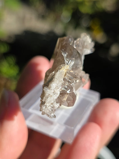 Quartz fumé des Pyrénées n°20