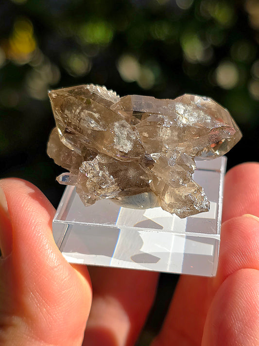 Quartz fumé des Pyrénées n°17