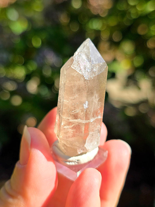 Quartz fumé des Pyrénées n°15