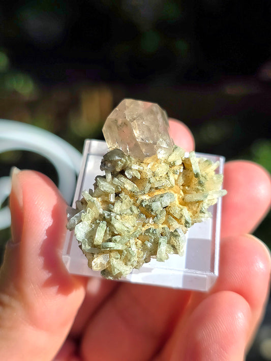 Quartz des Pyrénées n°11