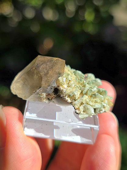 Quartz des Pyrénées n°11