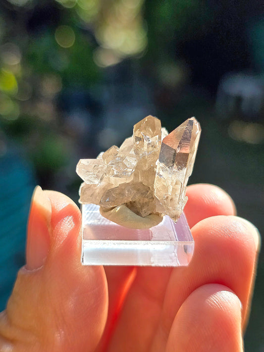 Quartz des Pyrénées n°1