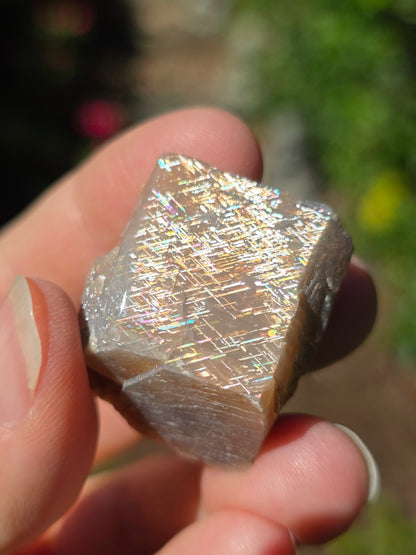 Pierre de soleil Rainbow Lattice n°4