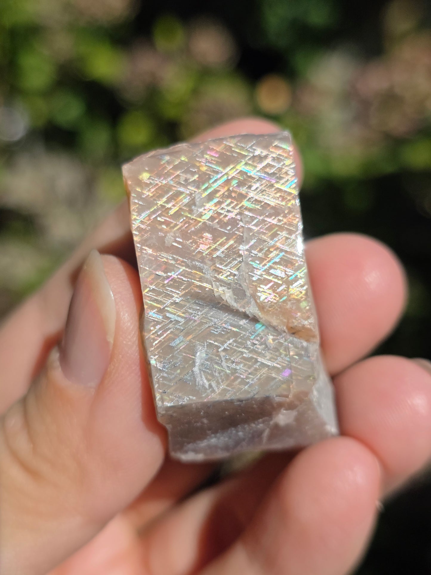 Pierre de soleil Rainbow Lattice n°5