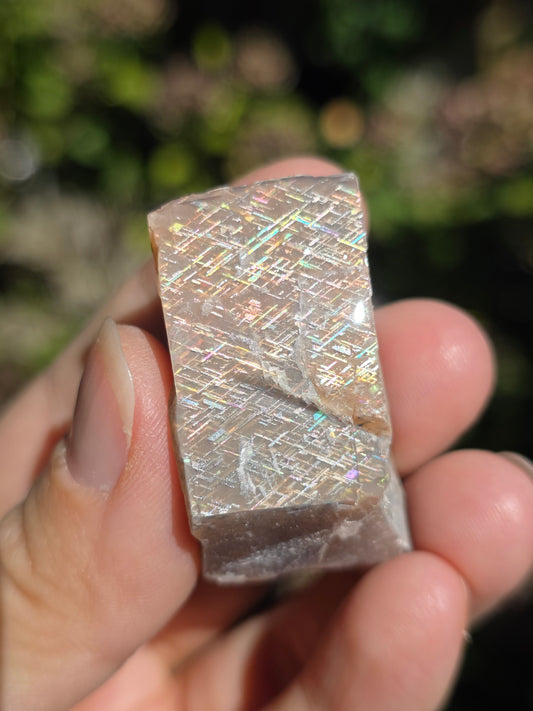 Pierre de soleil Rainbow Lattice n°5