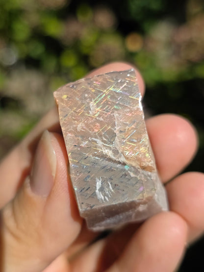 Pierre de soleil Rainbow Lattice n°5