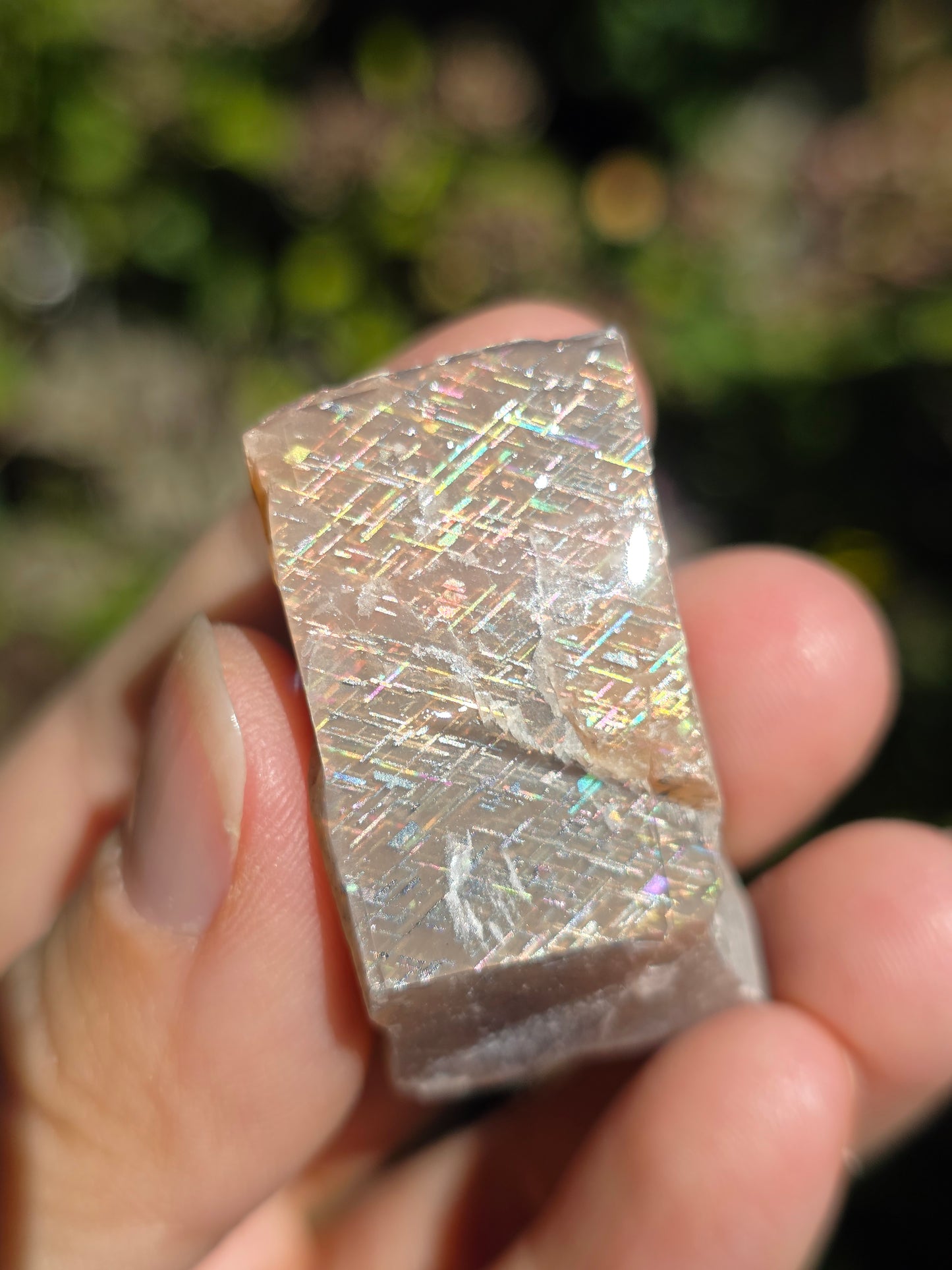 Pierre de soleil Rainbow Lattice n°5