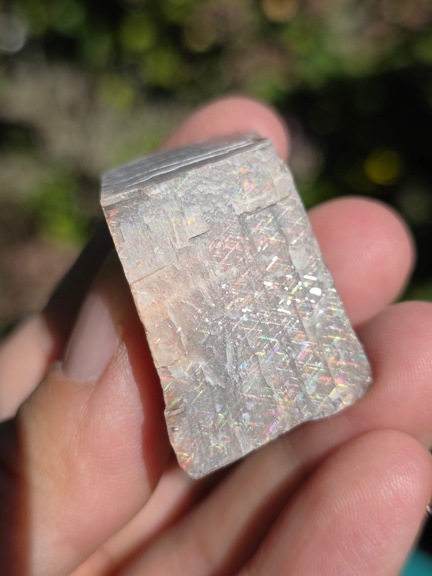 Pierre de soleil Rainbow Lattice n°5