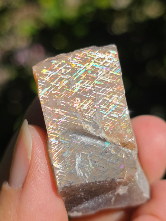 Pierre de soleil Rainbow Lattice n°5